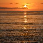 Cambria_0202 (November 04, 2017)